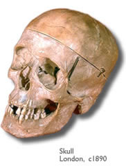 Film and TV prop hire - Skull, c1890