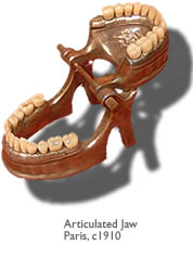 Articulated Jaw