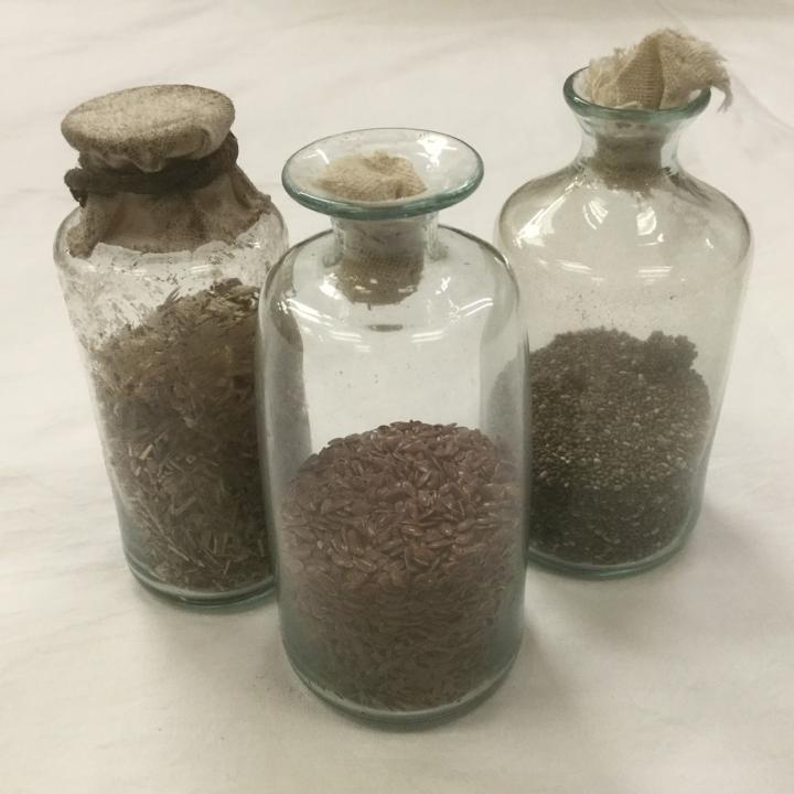 Period Dry Specimen Bottles CURIOUS SCIENCE