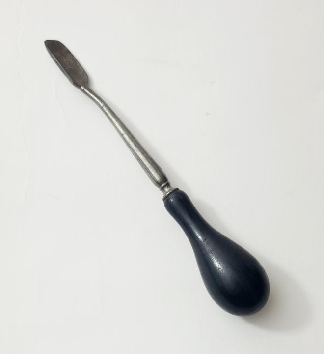 Ebony Handled Scoop Instrument CURIOUS SCIENCE