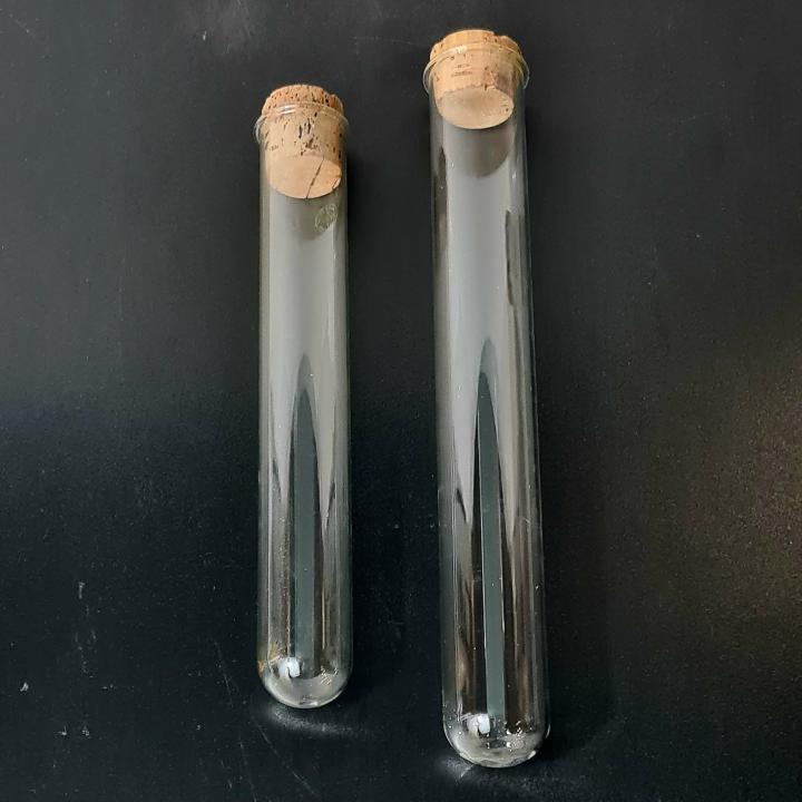 Large Test Tube CURIOUS SCIENCE