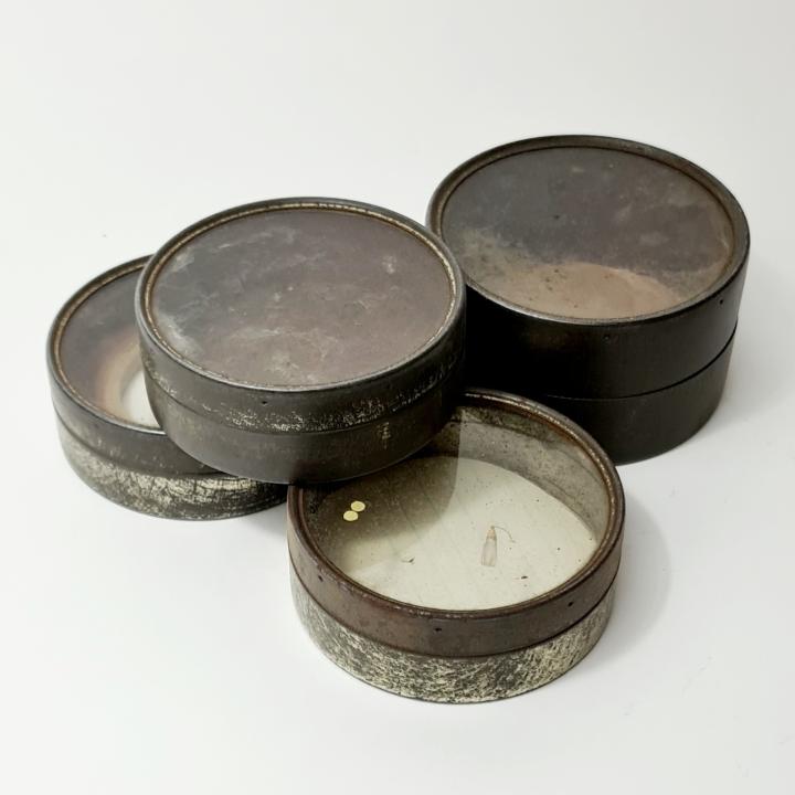 Glass Topped Specimen Tins (priced per unit) | CURIOUS SCIENCE