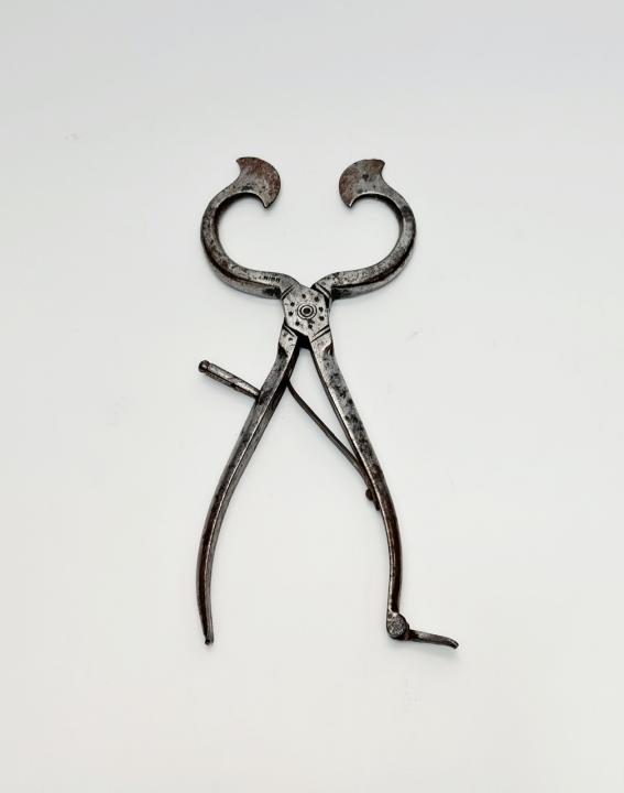 Vintage Sugar Nips CURIOUS SCIENCE