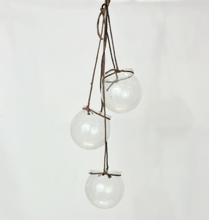 Hanging Glass Bowls (each) CURIOUS SCIENCE