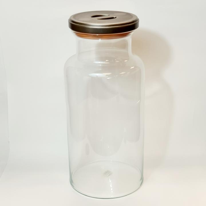 Large Glass Container CURIOUS SCIENCE
