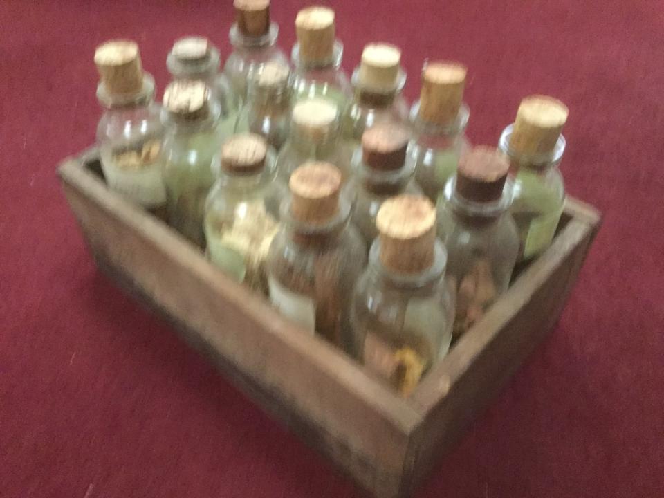 Vintage Dry Specimen Bottles in Case CURIOUS SCIENCE