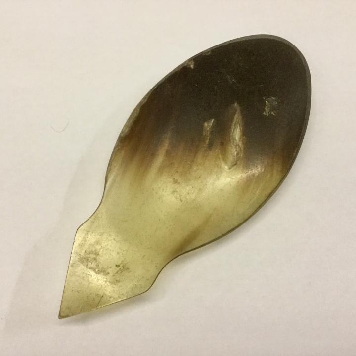 Horn Spoon CURIOUS SCIENCE