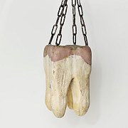Model Teeth