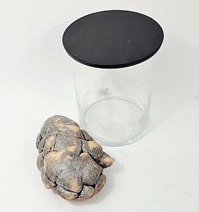 Imitation Human Liver In Glass Jar