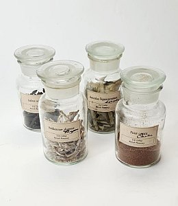 Dry Specimens In Glass Jars (each)