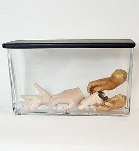 Hand Models In Glass Jar