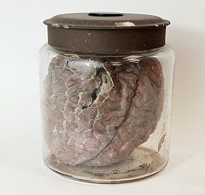 Model Brain InnGlass Jar