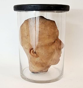 Half Head Model In Glass Jar
