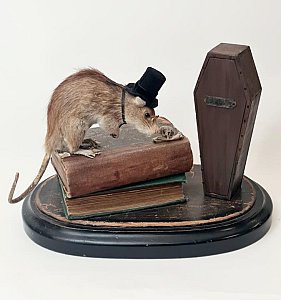 Taxidermy Rat Diorama