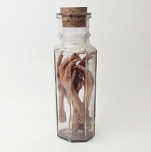 Chicken Feet In Glass Jar