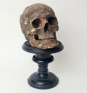 Skull On Wooden Stand