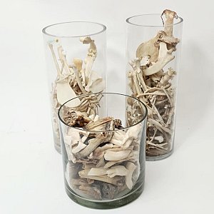Glass Jar Of Small Bones  (priced individually)