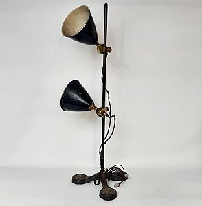 Double Head Laboratory Light