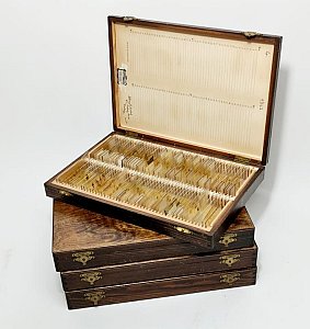 Period Wooden Slide Case - With Slides