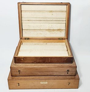 Period Butterfly Collecting Cases