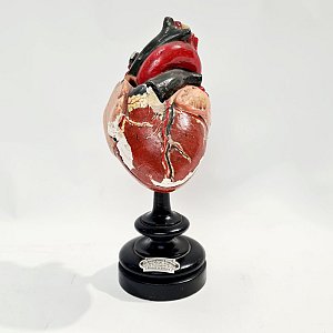 Plaster Heart on Ebony Base