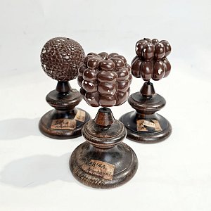 Cell Models On Wooden Bases (each)