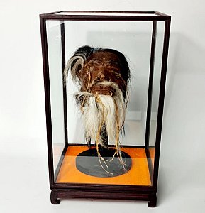 Shrunken Head (imitation)