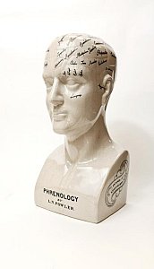 Large Phrenology Head