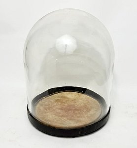 Large Glass Display Dome