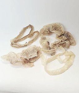 Shed Snake Skins (priced individually)