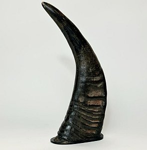 Mounted Animal Horn