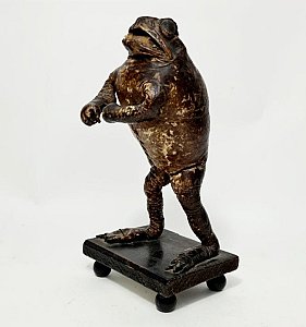 Boxing Taxidermy Toad