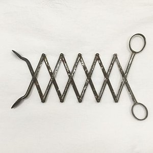 Victorian Extending Grab Tool