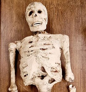 Composite Skeleton with Mumified Skin