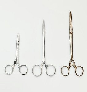 Forceps