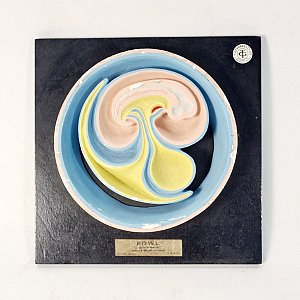 Mounted Embryo Cross Section - Fowl