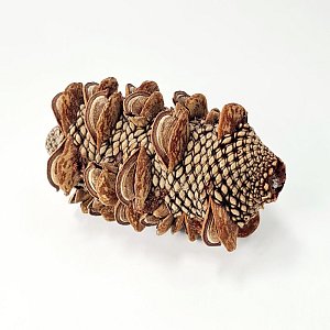 Seeded Pine Cone