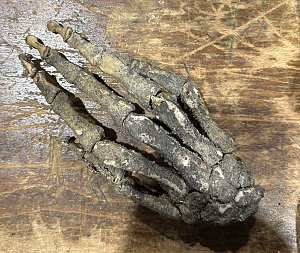Skeletal Hand