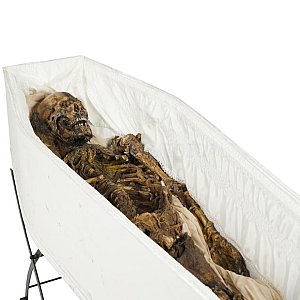 Decaying Corpse In Coffin