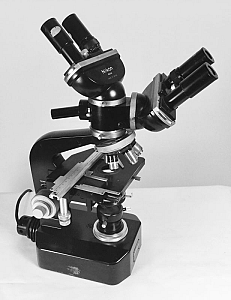 Dual viewer microscope