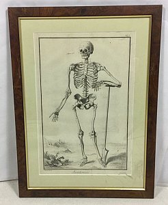 Skeleton etching