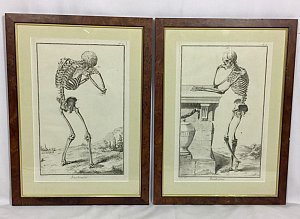 Pair of skeletons