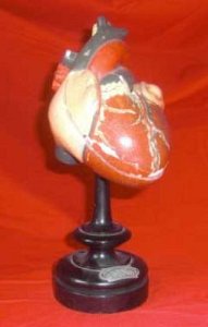 Plaster Heart on Ebony Base