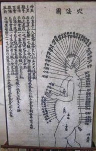Acupuncture Chart c1900