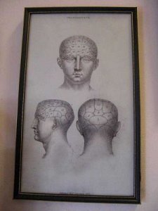 Phrenology Print framed c 1890.