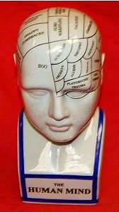 Phrenology Head