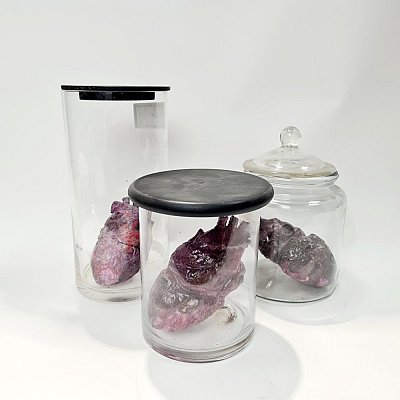 Model Heart In Jar (each)