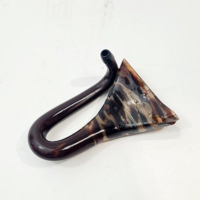 Ear Trumpet