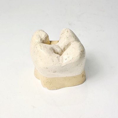 Ceramic Tooth Model
