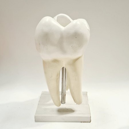 Film Medical Tooth 7745